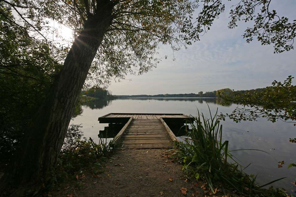 Lago balneabile nel Basso Reno d'estate